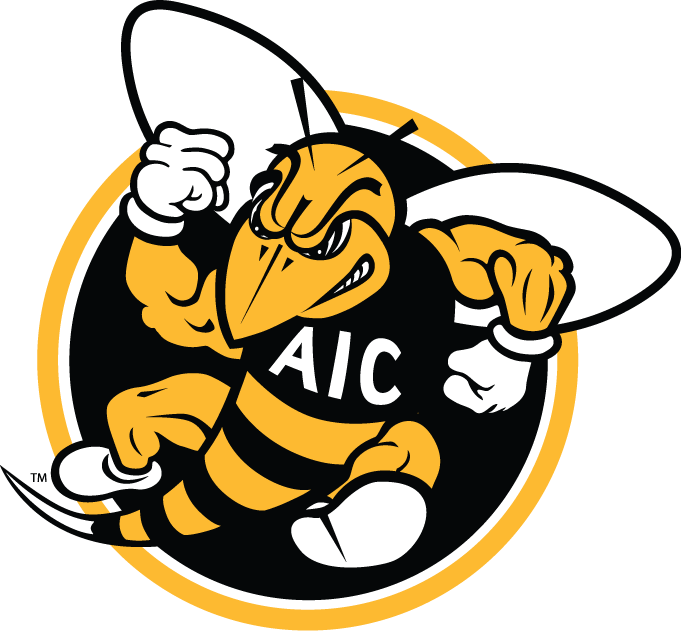 AIC Yellow Jackets 2009-Pres Alternate Logo t shirts iron on transfers v2